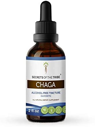 Secrets of the Tribe Chaga Tincture Alcohol-Free Extract, High-Potency Herbal Drops, Tincture Made from Wildcrafted Chaga (Inonotus obliquus) Dried Mushroom 2 oz