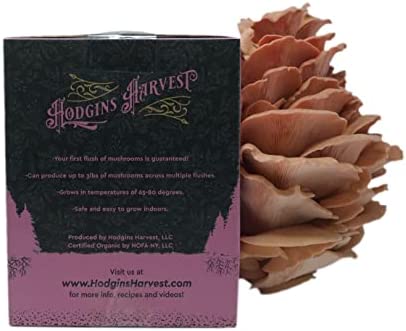 Hodgins Harvest Extra-Large Pink Oyster Mushroom Grow Kit (7lbs) | USDA Certified Organic | Grow Your Own Delicious Gourmet Mushrooms at Home