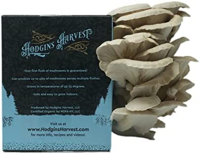 Hodgins Harvest Extra-Large Oyster Mushroom Grow Kit (7lbs) | USDA Certified Organic | Grow Your Own Delicious Gourmet Mushrooms at Home