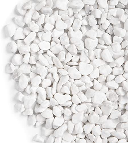 GASPRO 5lbs Aquarium Gravel, 1/5 Inch White Rocks for Fish Tank, Plants, Vases, Natural Decorative Pebbles for Succulents, Terrarium, Cactus, Matte Texture