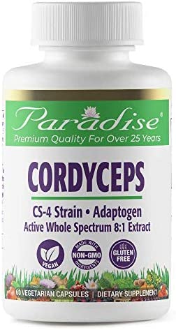 Paradise Herbs Cordyceps CS-4 Extract, Vegan Antioxidant for Performance & Immune Health, Non GMO, Gluten Free, 60 Capsules