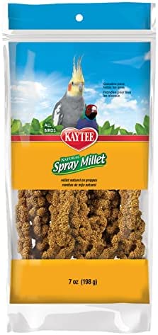 Kaytee Spray Millet Treat for Pet Birds, 7 Ounce