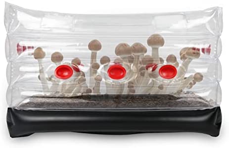 Mushroom Monotub Kit, Home Inflatable Mushroom Grow Kit – Save Your Mushroom Grow Bags (Large)