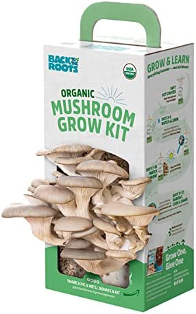 Back to the Roots Organic Oyster Mushroom Grow Kit, Harvest Gourmet Mushrooms In 10 Days