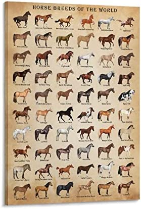 Horse Knowledge Horse Breeds of The World Poster Framed 12x16inch