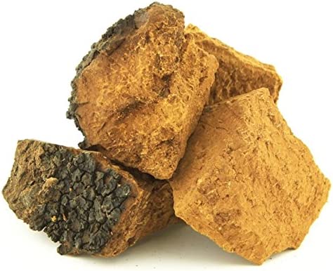 Tao Chaga Wild Harvest Canadian Chaga Mushroom (Inonotus obliquus) (Chunk 1 lb (454g))