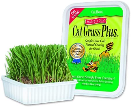 Cat-A’bout Multi-Cat CatGrass Plus Tub 150 grams by MiracleCorp/Gimborn