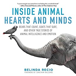 Inside Animal Hearts and Minds: Bears That Count, Goats That Surf, and Other True Stories of Animal Intelligence and Emotion