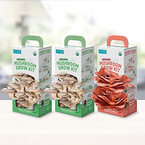 Back to the Roots Organic Mushroom Grow Kit 3-Pack: Oyster, Oyster & Pink-Harvest Gourmet Mushroom in Just 10 Days