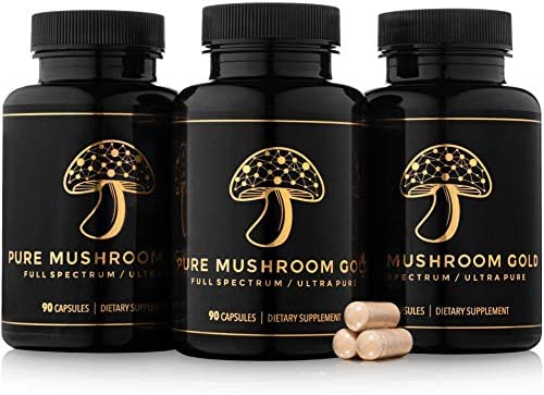 Mushroom Supplement Blend by Pure Mushroom Gold – Lions Mane Mushroom Supplement with Shitake Mushroom, Reishi Mushroom, Cordyceps, and Turkey Tail – Superfood Mushroom Complex