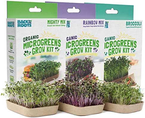 Back to the Roots DIY Microgreen Grow Kit, 6-Grow Variety Pack