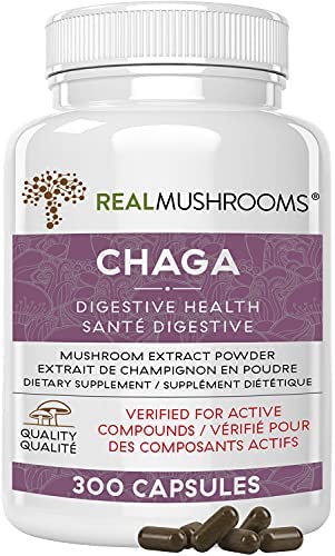 Real Mushrooms Chaga Mushroom Supplement (300ct) Chaga Mushroom Capsules for Digestive Health & Immune Support – Vegan, Non-GMO, Organic Chaga Extract – Mushroom Immune Support