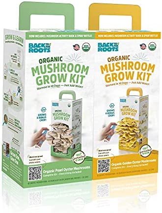 Back to the Roots Organic Pearl and Golden Oyster Mushroom Grow Kit – Grow Your Own Mushrooms at Home – 2 Count Variety Plant Kit