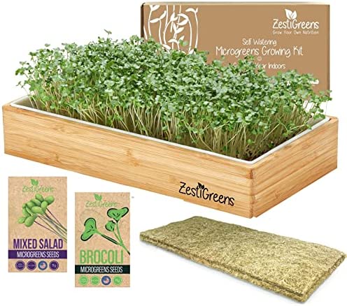 Microgreens Growing Kit Self Watering – Includes Microgreens Tray, Microgreens Seeds, Mats and Bamboo Surround. No Soil Needed. Easy to Set up. Sprouting Kit that water once. Guaranteed to Grow.