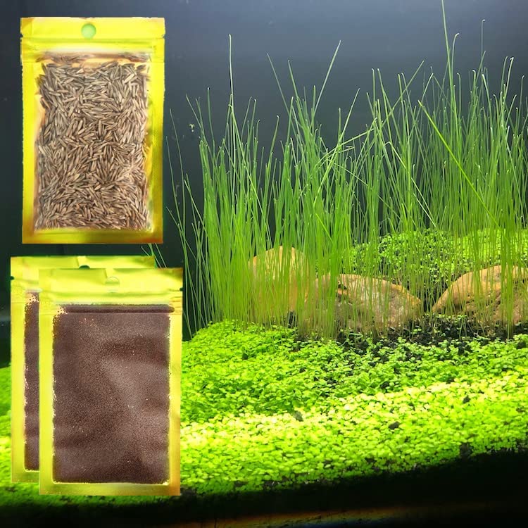 Live Aquarium Plant Seeds Combo,Fresh Water Grass Mini Leaf & Hair Grass Small Pearl Leaf for Fish Tank Terrarium Aquatic Dwarf Carpet Decor AAB