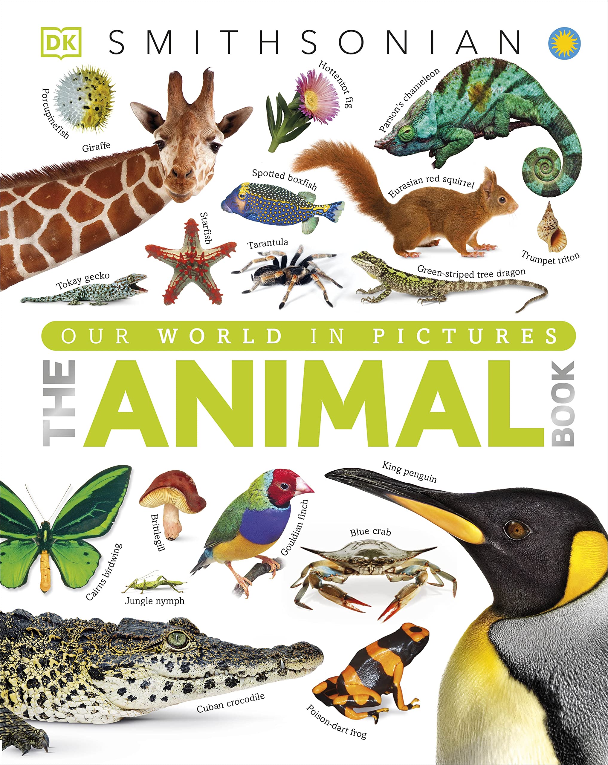 The Animal Book: A Visual Encyclopedia of Life on Earth