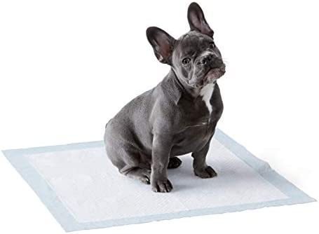 Amazon Basics Dog and Puppy Pee Pads with Leak-Proof Quick-Dry Design for Potty Training, Standard Absorbency, Regular Size, 22 x 22 Inches – Pack of 150