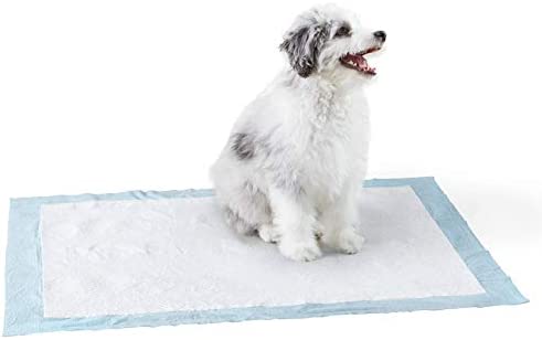 Amazon Basics Dog and Puppy Pee Pads with Leak-Proof Quick-Dry Design for Potty Training, Heavy Duty Absorbency, X-Large, 28 x 34 Inches – Pack of 50
