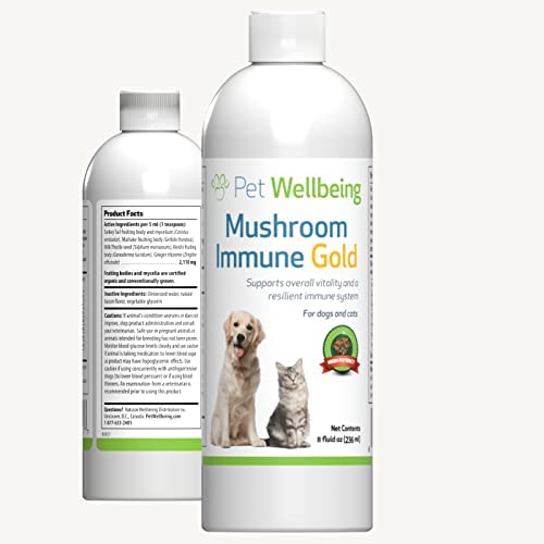 Pet Wellbeing – Mushroom Immune Gold – Natural Alternative Immune Support for Dogs and Cats – 8oz (237ml).