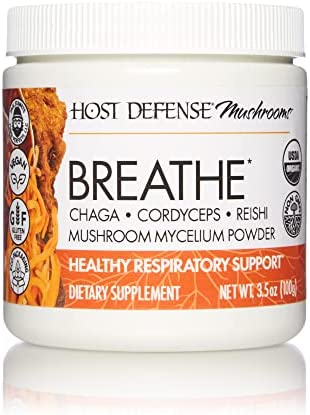 Host Defense, Breathe Powder, Respiratory Support, Mushroom Supplement with Cordyceps, Reishi and Chaga, 100 G