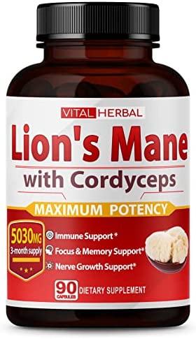 Lions Mane Mushroom with Cordyceps Capsules Equivalent to 5030mg – Maximum Potency with L-Theanine Ashwagandha – Brain Mushroom Supplement for Focus Memory Energy Mood Support – 90 Days Supply