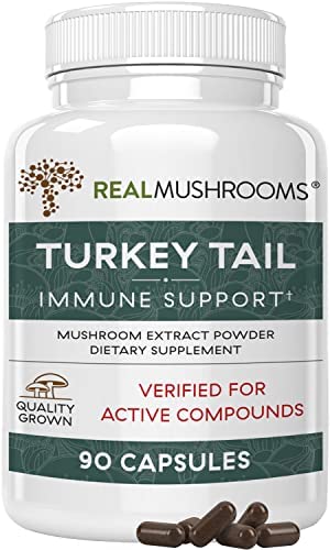 Turkey Tail Immune Support Mushroom Supplement – Organic Mushroom Capsules – Non-GMO Pills for Wellness and Vitality (90 Capsules)