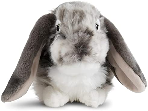 Living Nature Grey Dutch Lop Eared Rabbit , Realistic Soft Cuddly Bunny Toy, Naturli Eco-Friendly Plush, 10 Inches