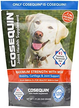 Nutramax Cosequin Joint Health Supplement for Dogs – With Glucosamine, Chondroitin, MSM, and Omega-3’s, 120 Soft Chews