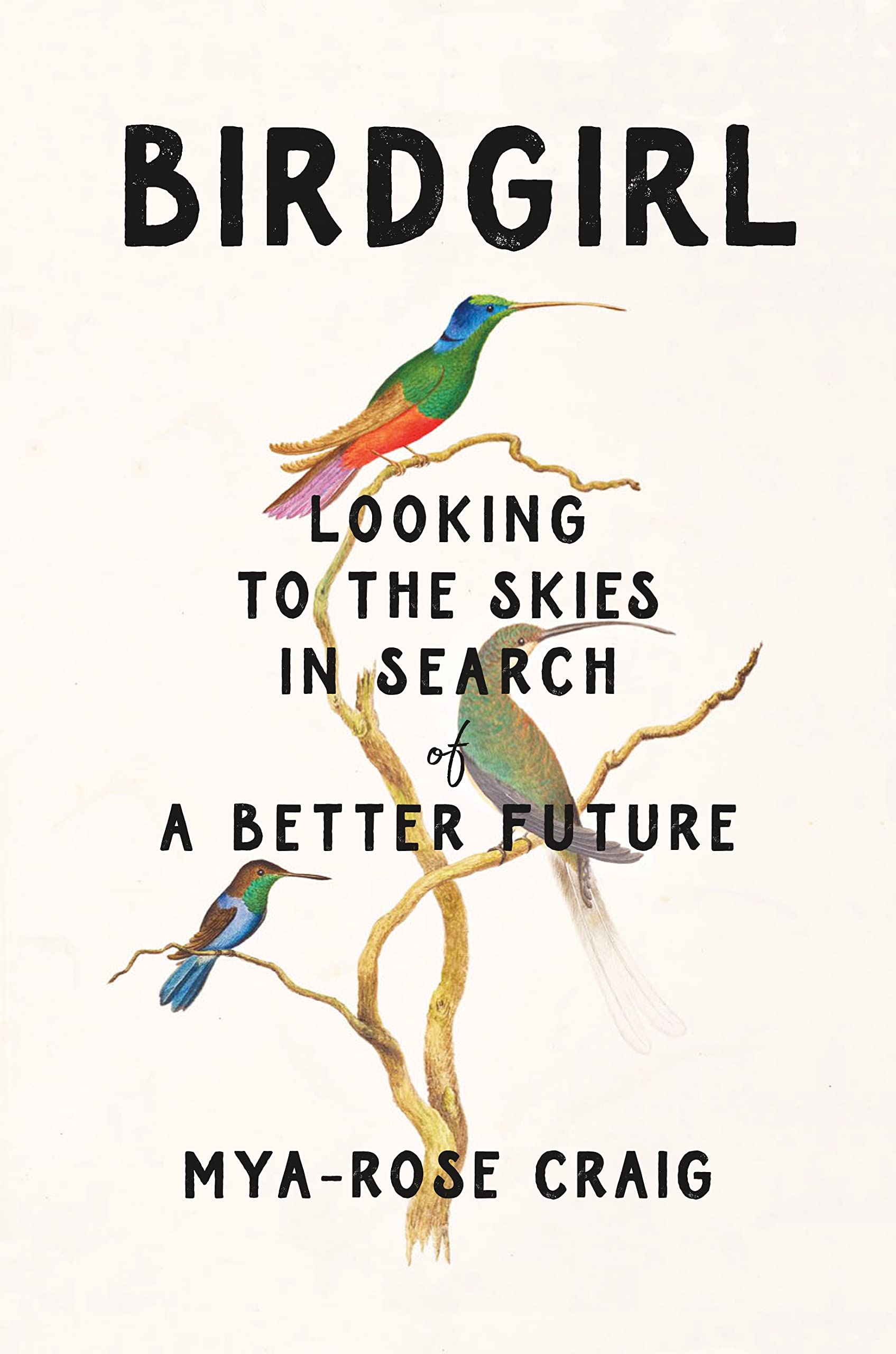 Birdgirl: Looking to the Skies in Search of a Better Future